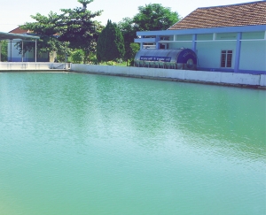 Water utility performance keeps improving in Da Nang, Vietnam, well after the VEI-Dawaco WOP ends
